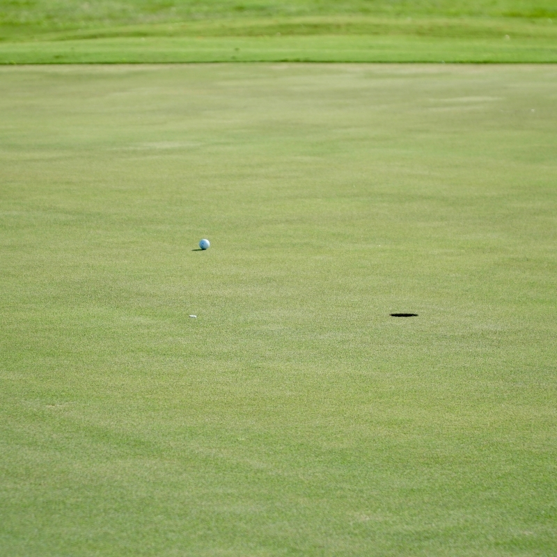 putting green web 1